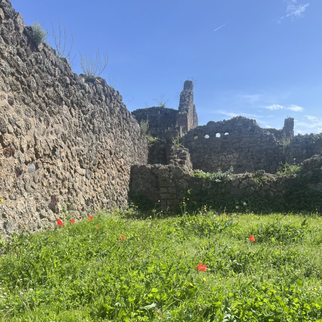 Ruine in Pompeji, davor wächst Gras